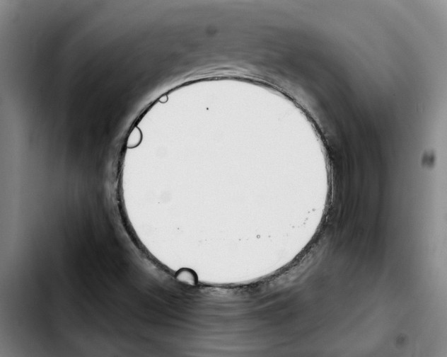 X0000103421500200810241022