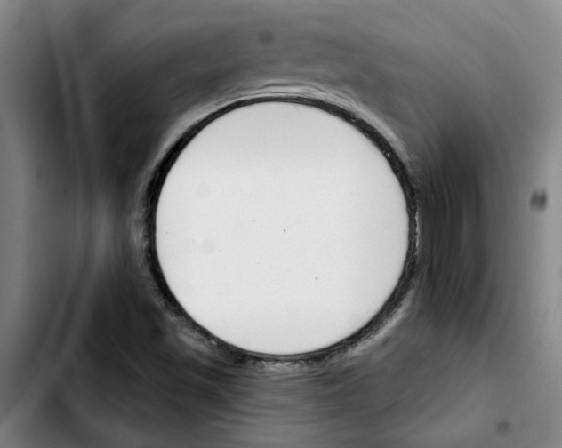 X0000103421501200810241022