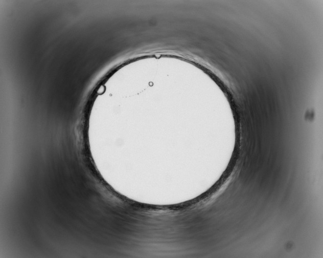 X0000103421502200810241022