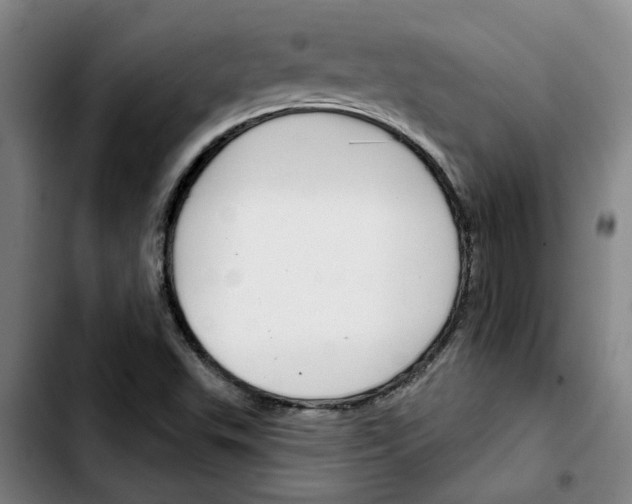 X0000103421503200810241022