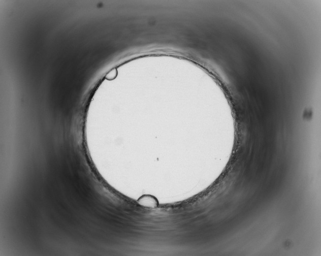 X0000103421504200810241022