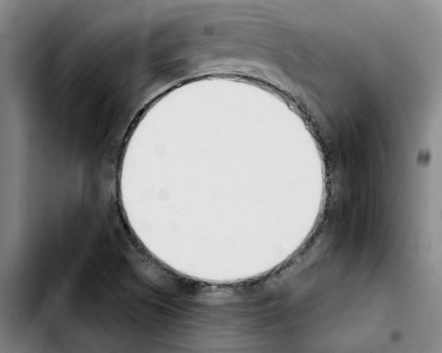 X0000103421505200810241022