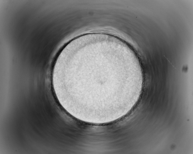 X0000103421506200810241022