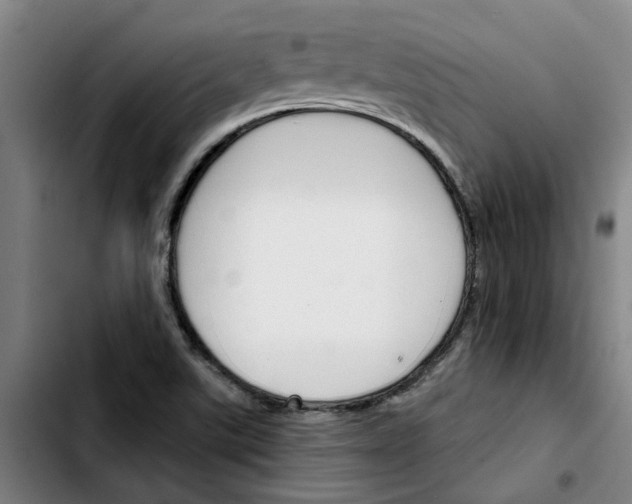 X0000103421507200810241022
