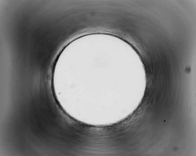 X0000103421508200810241022