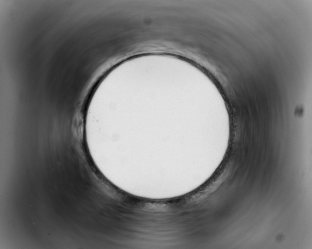 X0000103421509200810241022