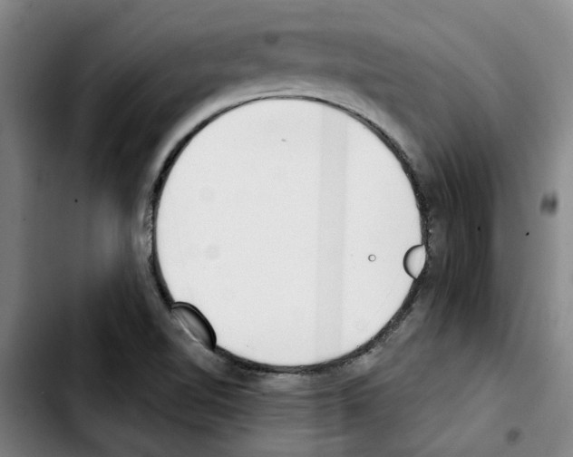 X0000103421510200810241022