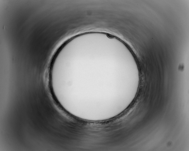 X0000103421511200810241022