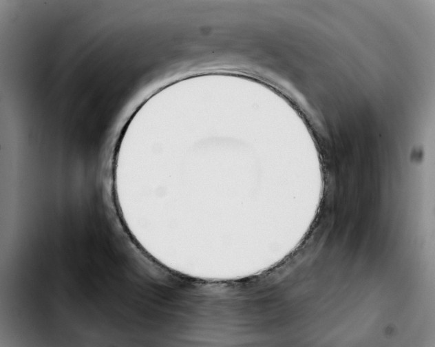 X0000103421512200810241022