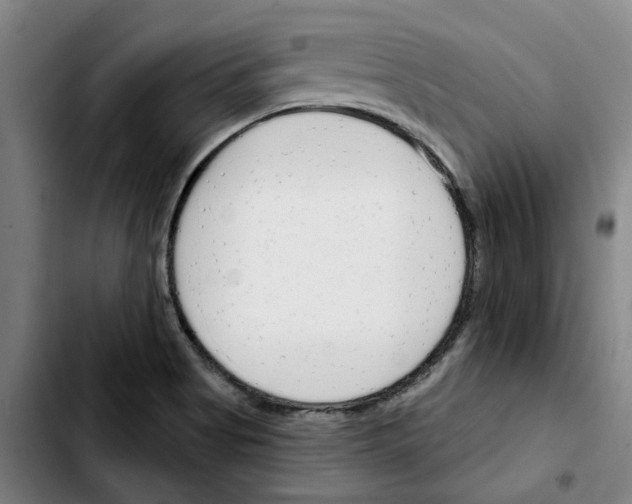 X0000103421513200810241022