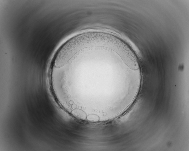 X0000103421514200810241022