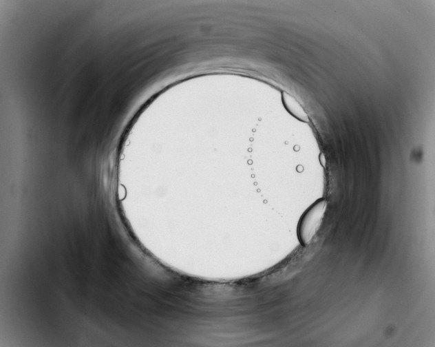 X0000103421515200810241022
