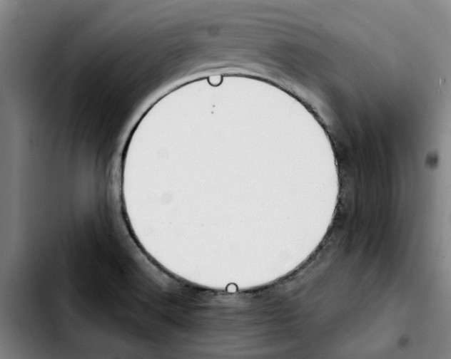 X0000103421516200810241022