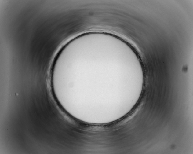X0000103421517200810241022