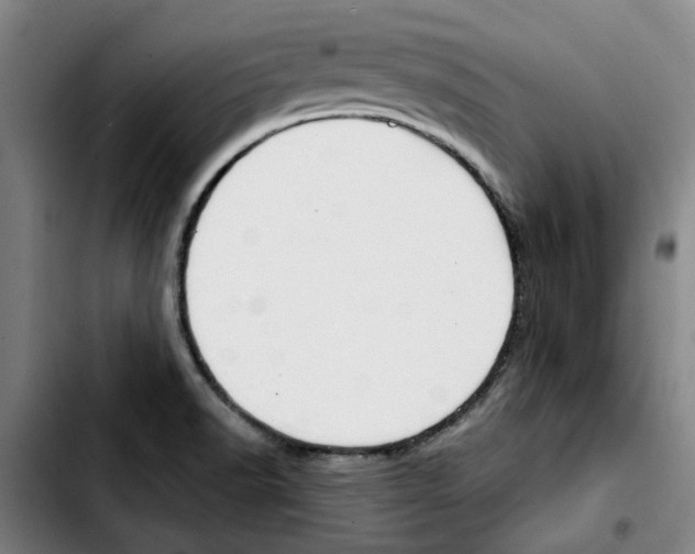 X0000103421518200810241022