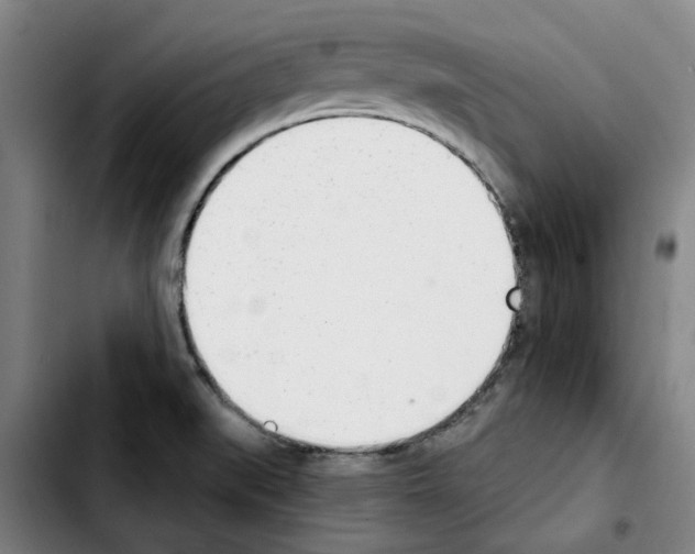 X0000103421519200810241022