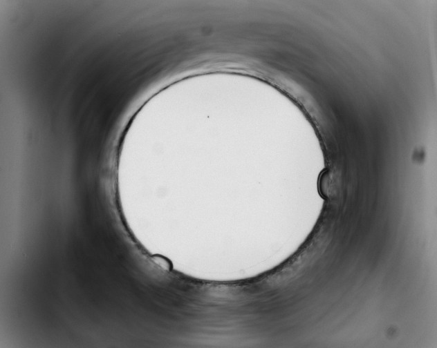 X0000103421520200810241022