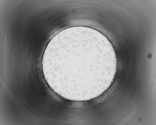 X0000103421521200810241022