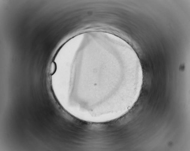 X0000103421522200810241022