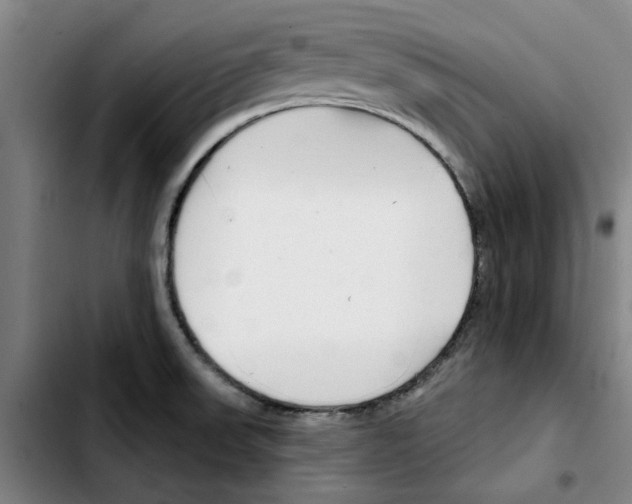 X0000103421523200810241022