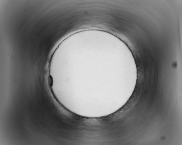 X0000103421524200810241022