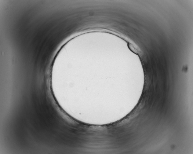 X0000103421526200810241022