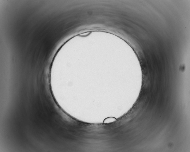 X0000103421527200810241022