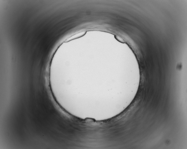 X0000103421528200810241022