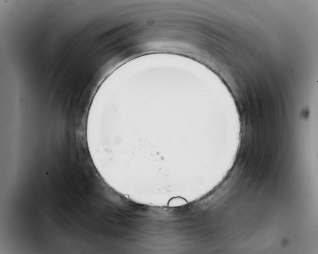 X0000103421529200810241022