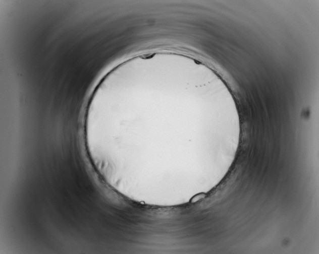 X0000103421530200810241022