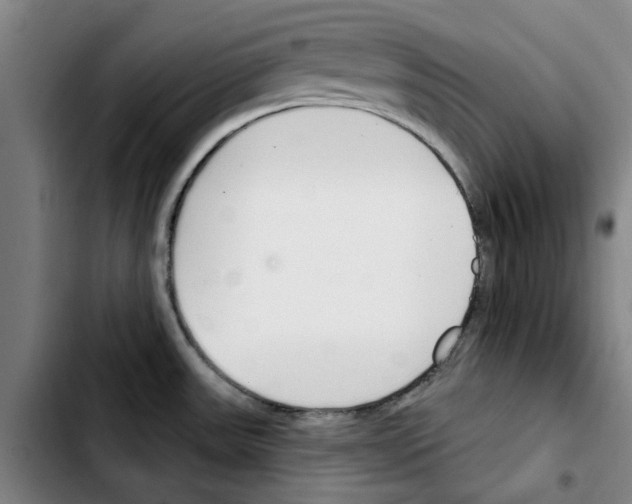 X0000103421531200810241022