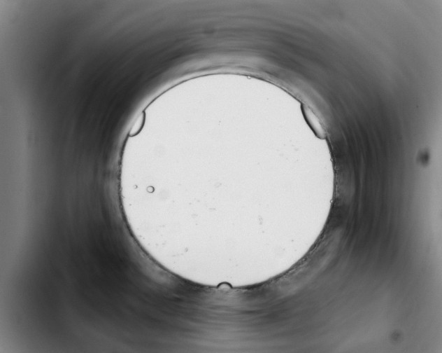 X0000103421532200810241022