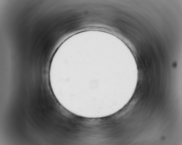 X0000103421533200810241022