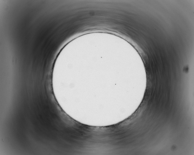 X0000103421534200810241022