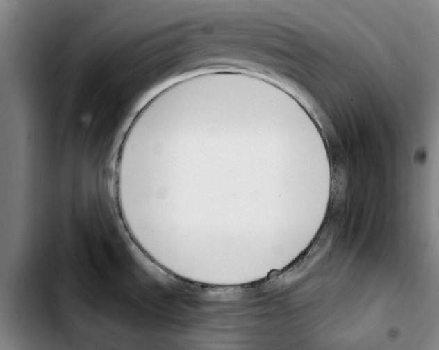 X0000103421535200810241022