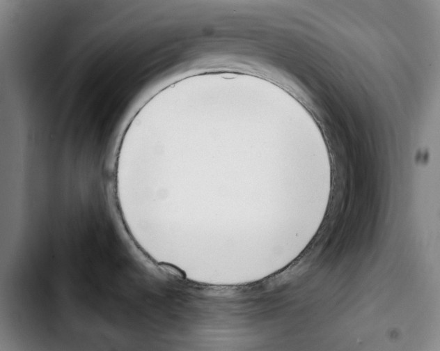 X0000103421536200810241022
