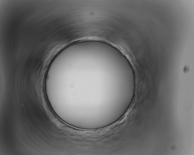 X0000103430001200809121048