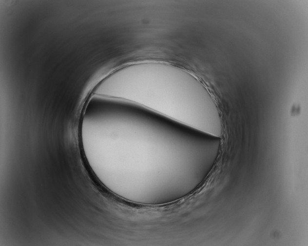 X0000103430004200809121048