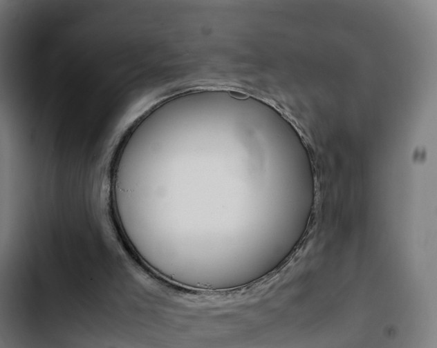 X0000103430005200809121048