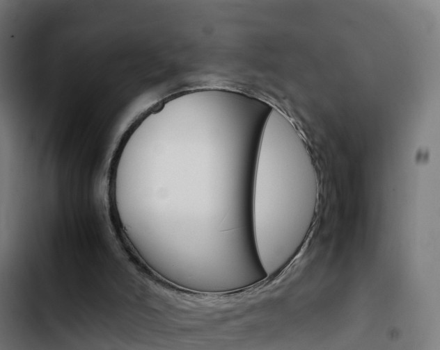 X0000103430006200809121048