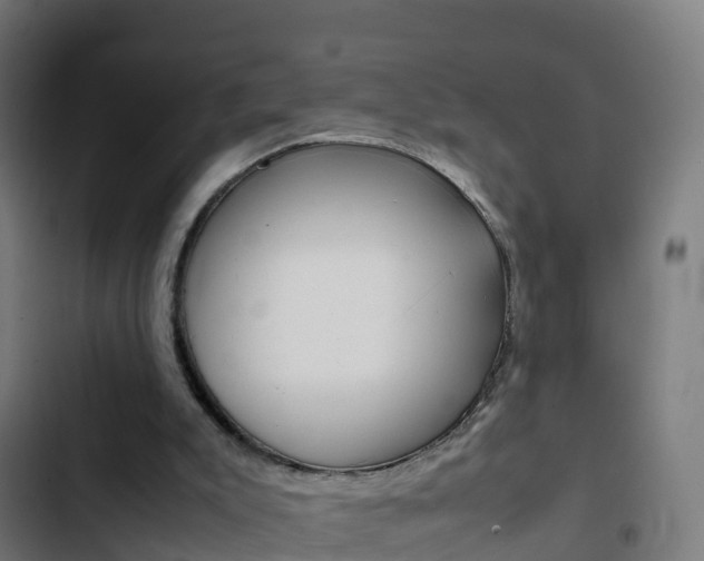 X0000103430007200809121048