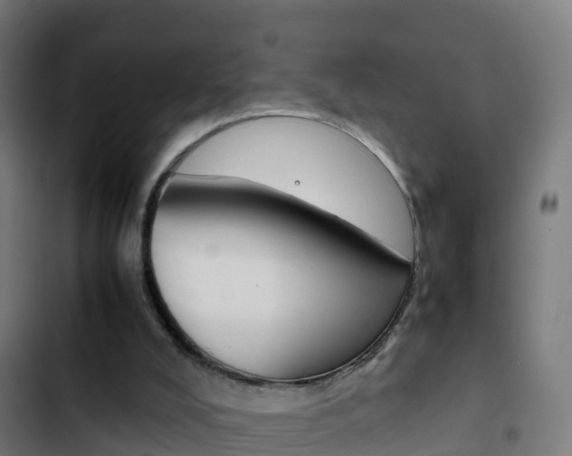 X0000103430008200809121048
