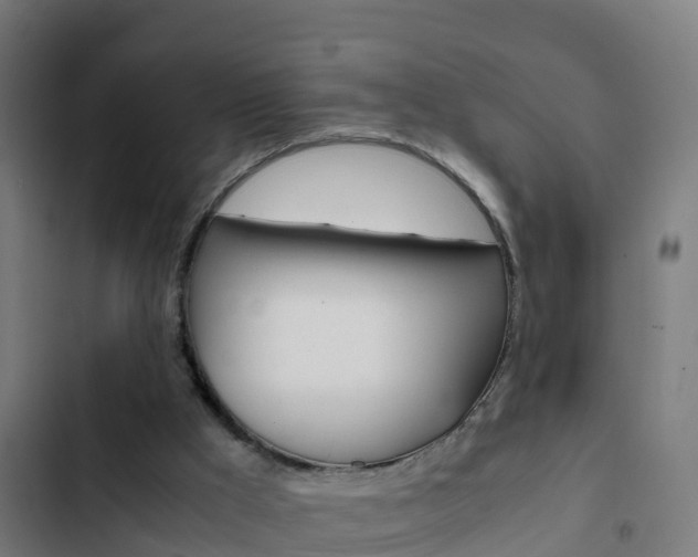 X0000103430009200809121048
