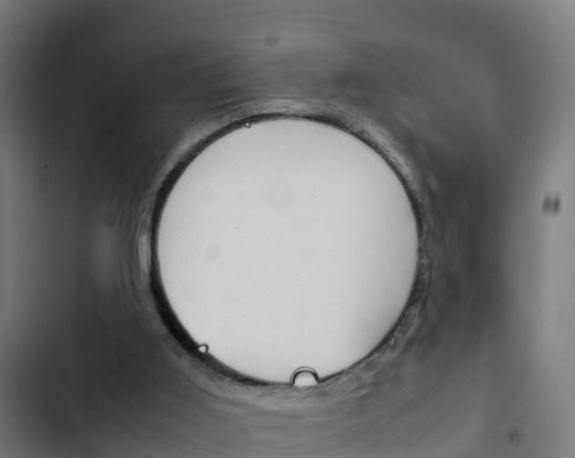 X0000103430011200809121048