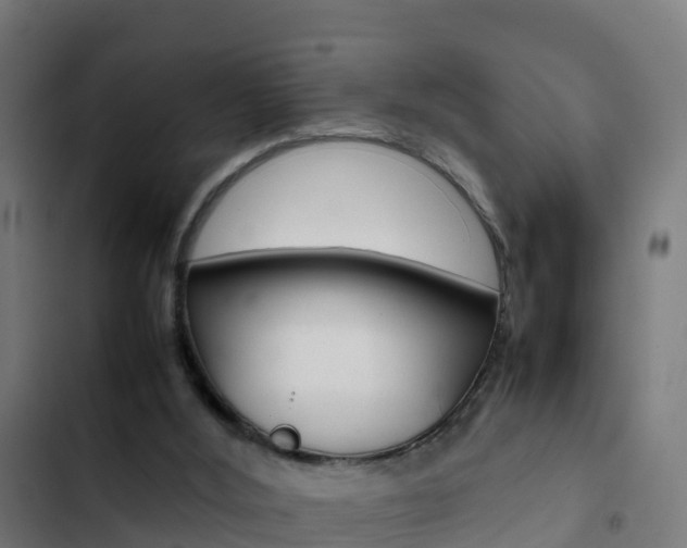 X0000103430012200809121048