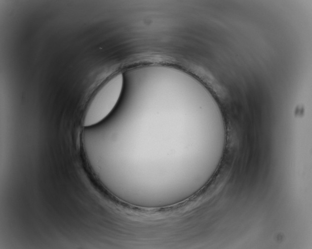 X0000103430014200809121048