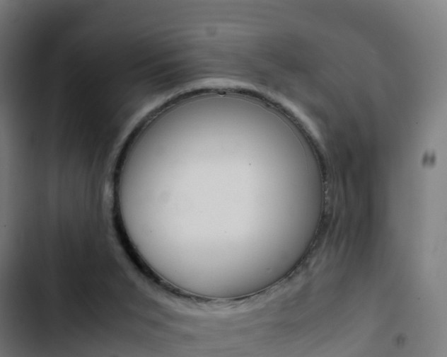 X0000103430015200809121048