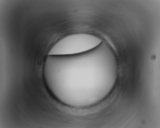 X0000103430018200809121048