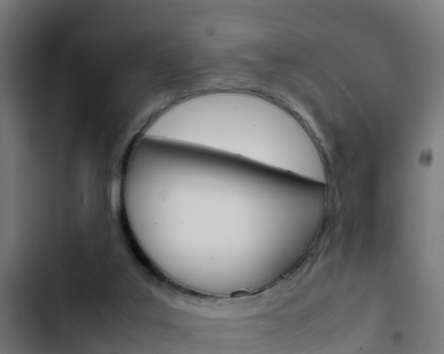 X0000103430019200809121048