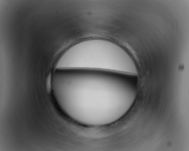 X0000103430020200809121048
